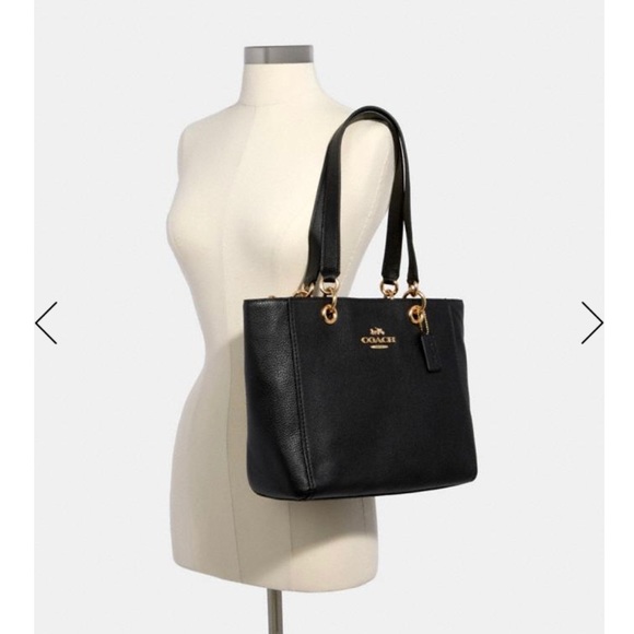 NWT Coach Jes Tote - Picture 3 of 15